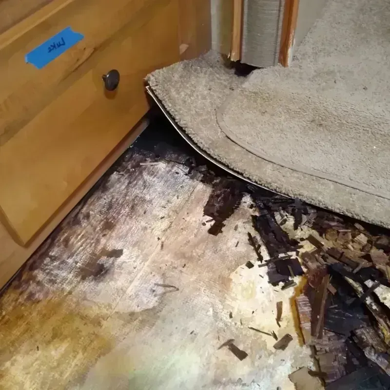 Wood Floor Water Damage in Highland, AR